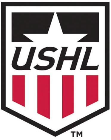 United States Hockey League 2016-Pres Primary Logo iron on heat transfer...